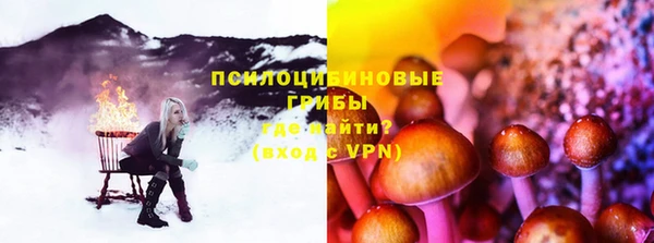 ПСИЛОЦИБИНОВЫЕ ГРИБЫ Михайловка