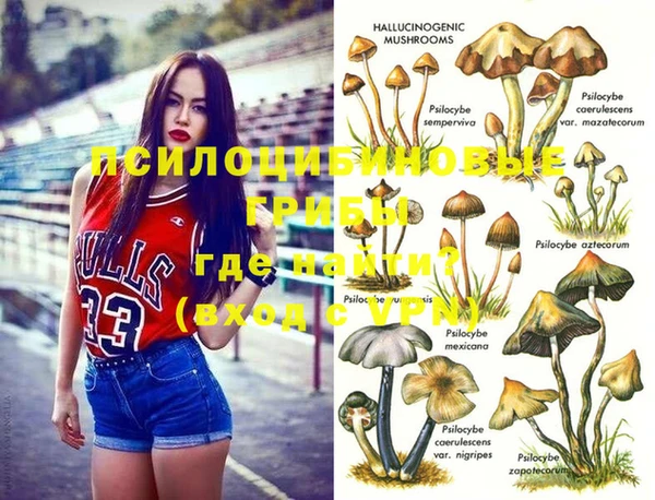 ПСИЛОЦИБИНОВЫЕ ГРИБЫ Михайловка